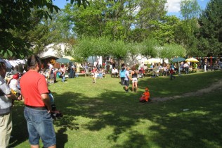 Bild 036